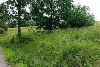 Prodej stavební parcely 10.687 m2
