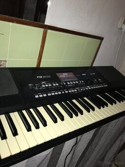 Korg pa300