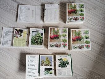 Sbírka Pokojové rostliny od A do Z