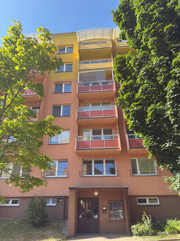 Prodej družstevního bytu 1+kk o velikosti 30 m2.