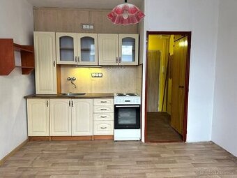 Pronájem bytu 1+1 v ulici Sídliště u Nového nádraží 708 v Bí