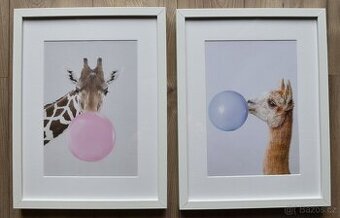 Dva obrázky v rámu Ribba Ikea