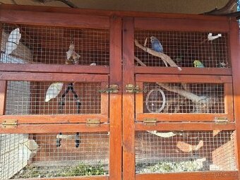 Voliéra + andulky