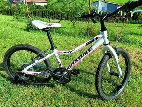 Dětské sportovní kolo MaxBike 20 - 1