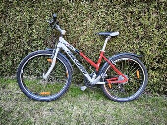 Maxbike m 300 26"