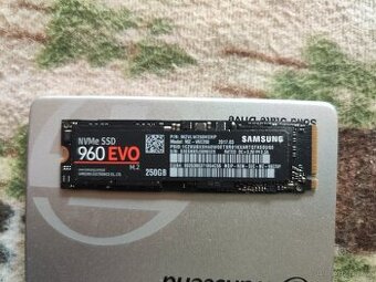 Samsung 960 EVO NVMe M.2 250 GB
