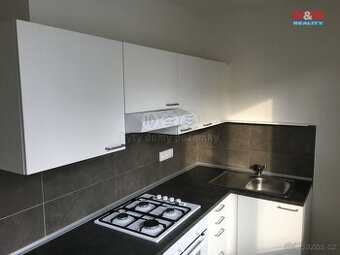 Pronájem bytu 1+1, 39 m², Ostrava, ul. Lumírova
