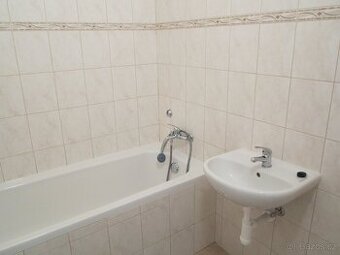 Pronajmu prostorný byt 2+1 67m2 Praha 4 Budějovická