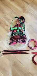 Ohlavka pro koně se jménem