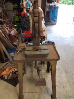 Lis nožní, kopačka