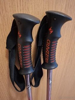 BLIZZARD Lyžařské hůlky 120cm