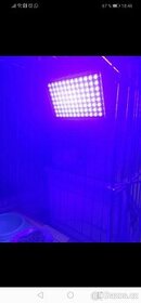 LED UV 50W - 1