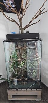 Terarium