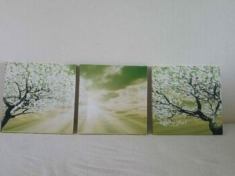 Trojice obrázků strom - např. do chodby, pokoje