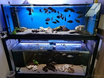 Stojan akvaria
