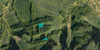 Prodám lesní pozemky v k.ú. Lužná u Vsetína