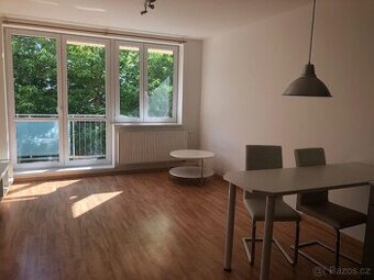 Pronájem bytu v Medlánkách - 1