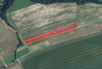 Zemědělská půda, prodej, Bílá Třemešná, Trutnov