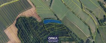 Prodej zemědělská půda, 10 450 m2 - Sudkov - 1