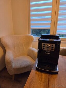 Delonghi magnifica s