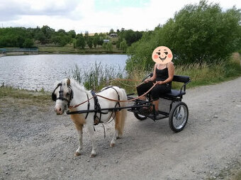Sulka pro minipony