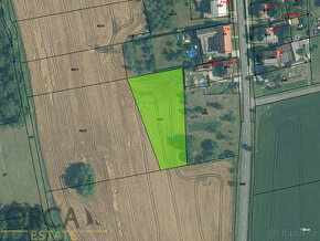 Prodej 0,2 ha zemědělského  pozemku v k.ú. Blazice - 1