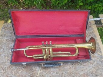 Trumpeta cadet - 1