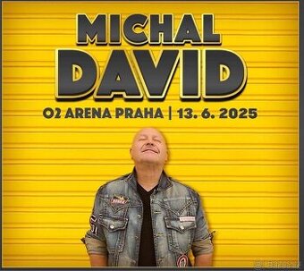 Klubové VIP MICHAL DAVID, O2 Arena 13.6.