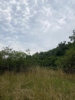 Prodej podílu na pozemcích Praha- Michle - 1