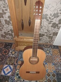 Kytara Pasadena CSG-1.