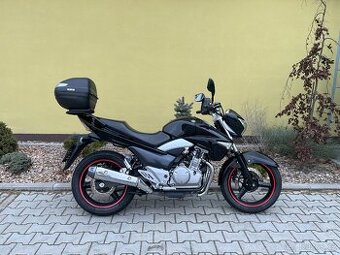 Suzuki GW 250 INAZUMA