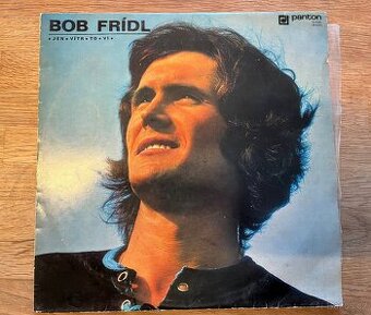 Bob Frídl – Jen vítr to ví (vinyl)