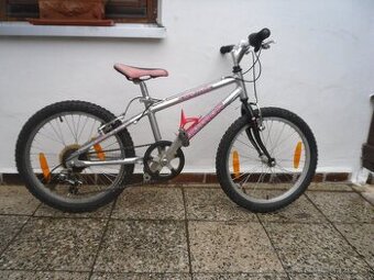 det.kolo  AUTHOR 20"