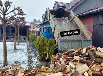 Palivové dřevo