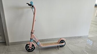 Koloběžka Segway Ninebot Zing E8 kids