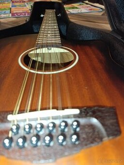 Elektroakustická dvanáctistrunná kytara D'Angelico Premier 