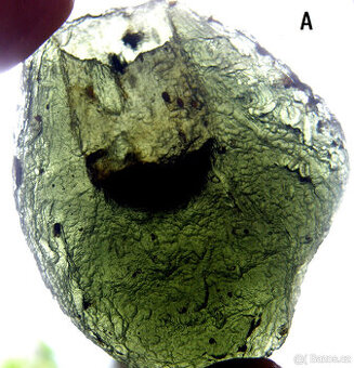 Vltavín - Dobrkovská Lhotka - plochá kapka 21 g