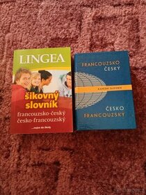 Francouzsko-české slovníky