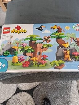 LEGO duplo
