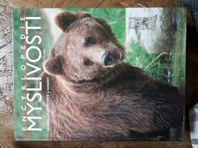 Myslivost