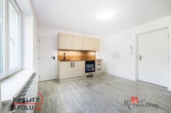 Pronájem, byty/1+1, 45 m2, Křižíkova 1352, 73801 Frýdek-Míst - 1