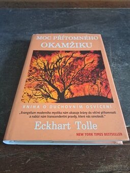 Moc přítomného okamžiku, Tolle