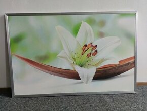Obraz 115x75 cm

