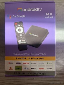 Android TV chromecast