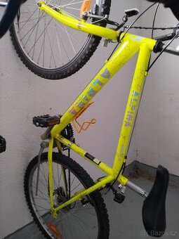 Kolo Alpina