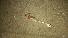 Páka brzdy jawa kývačka