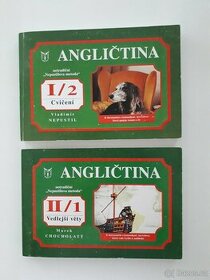 Angličtina - Nepustilova metoda, Vedlejší věty, Cvičení