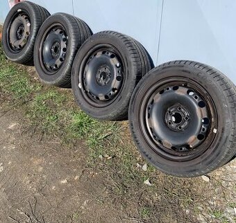 Disky 5x100 195/55 r15