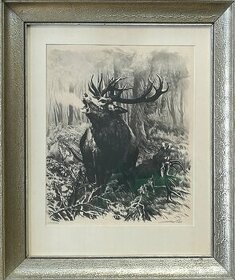 VAIC Josef (1884 -1961) - Souboj jelenů