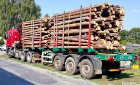 Prodej palivového dřeva - klády, kulatina kamionové odběry